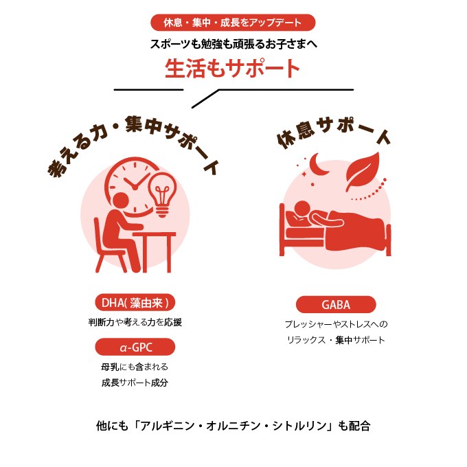 DHA・α-GPC・GABAで休息と集中を応援