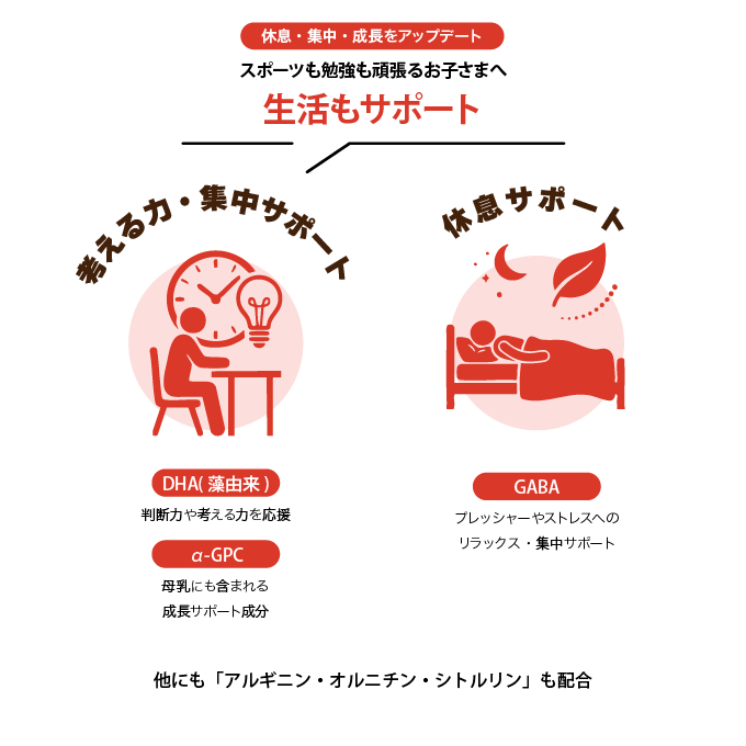 DHA・α-GPC・GABAで休息と集中を応援