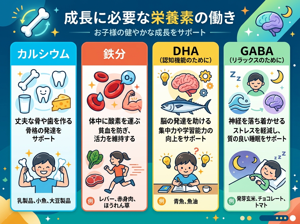 成長に必要な栄養素の働き