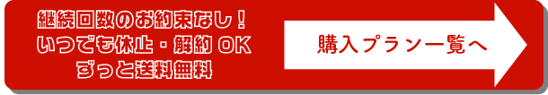 購入プラン一覧へ