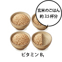 ビタミンB₁:玄米のごはん 約3.5 杯分
