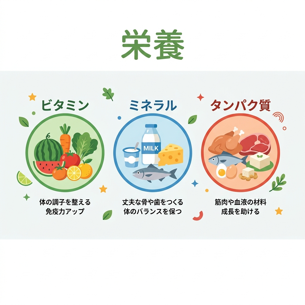 成長期に不足しがちな夏の栄養素