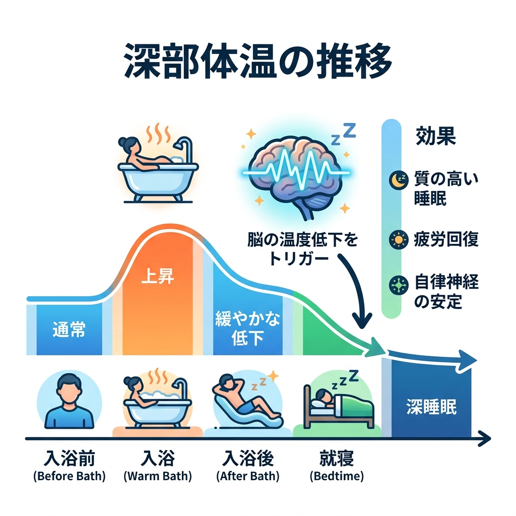 入浴による深部体温の上昇と急激な低下がもたらす質の高い睡眠プロセスの図解