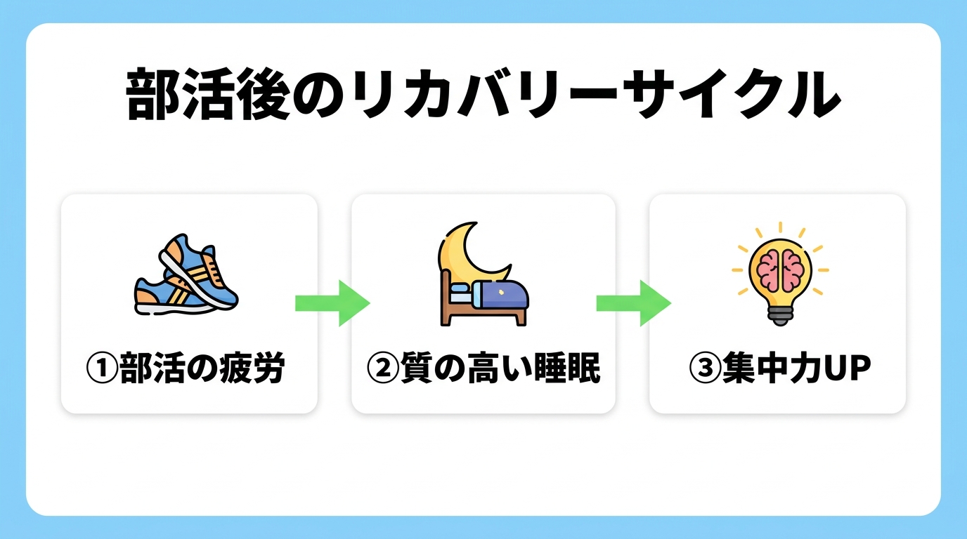 部活後の脳疲労と睡眠、集中力向上のリカバリーサイクル図解