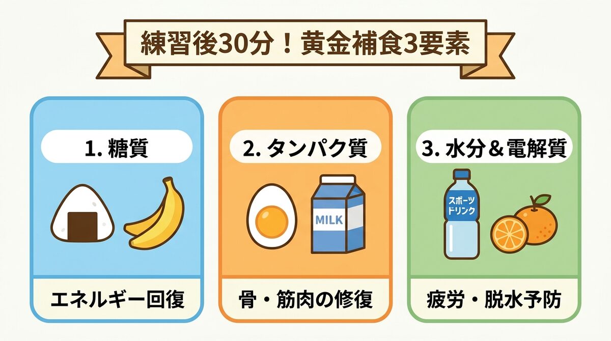 練習後30分！黄金補食3要素（糖質でエネルギー回復・タンパク質で骨筋肉修復・水分電解質で疲労予防）インフォグラフィック図解